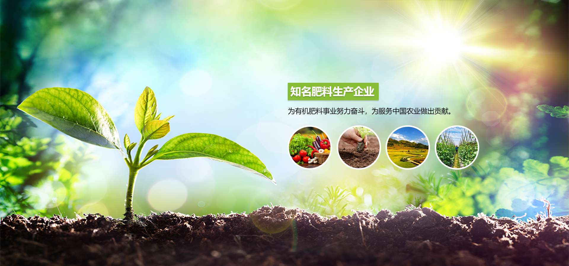云南祥農十八長生物科技有限公司